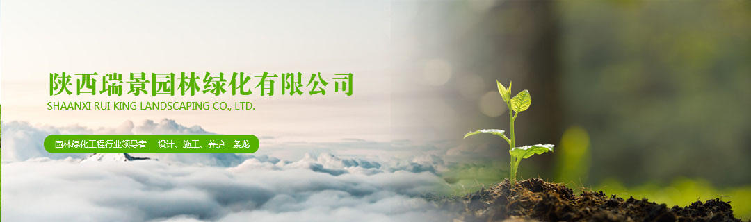 關于我們